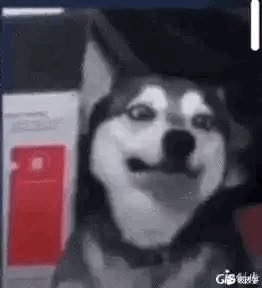 工地装卸杂活小工