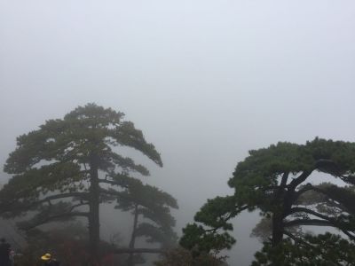 家装装修