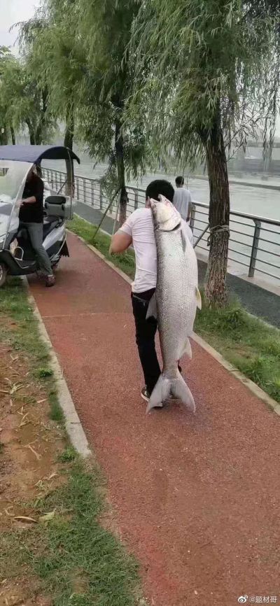 全兼职