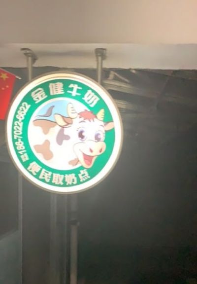 金健牛奶