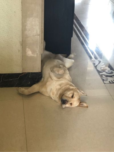 设计