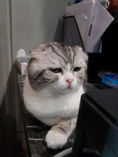 水电