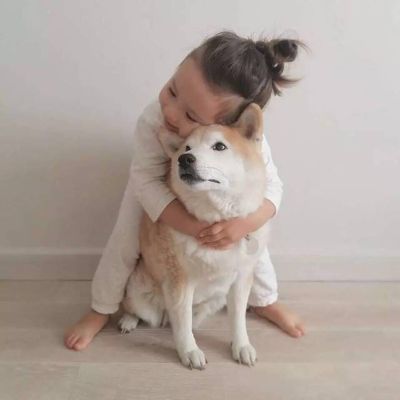 门窗维修