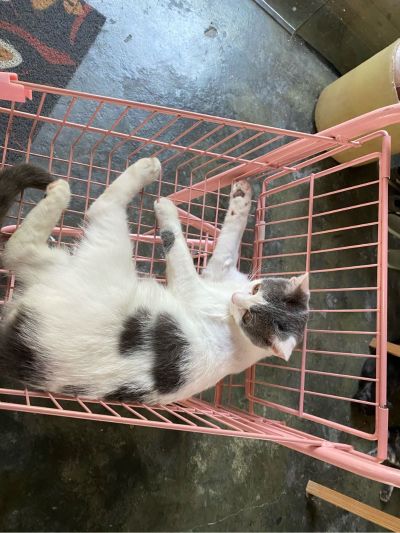 适合女生的活