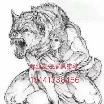 专业安装家