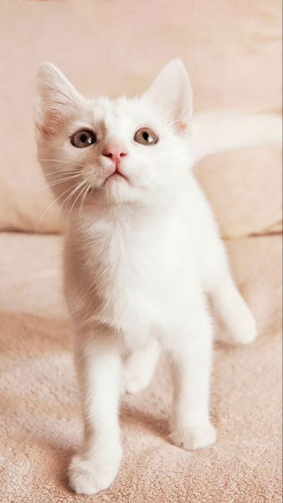 装修