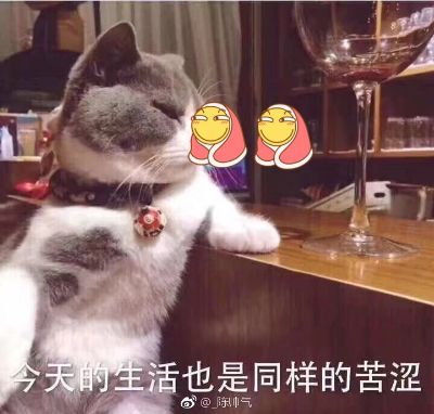 管路安装