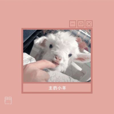 设计