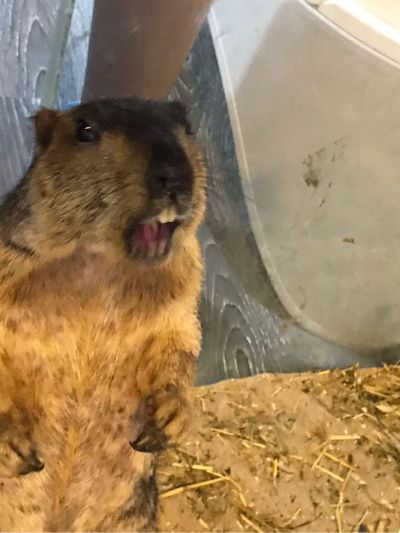 门锁安装
