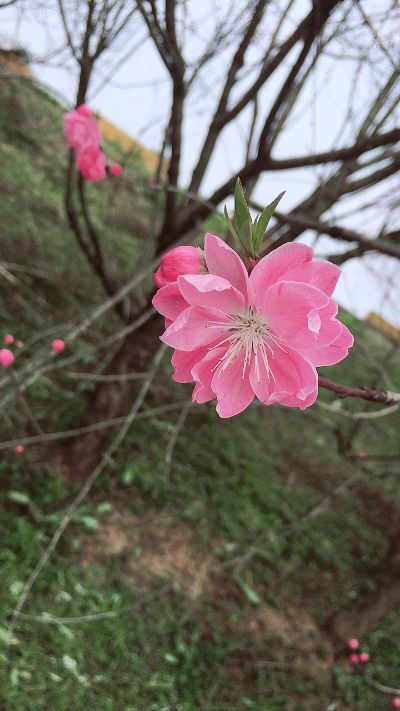安装