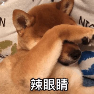 电气自动化
