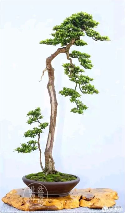 室内设计装修