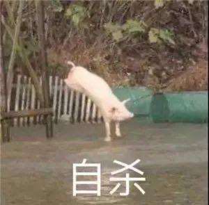 摄影
