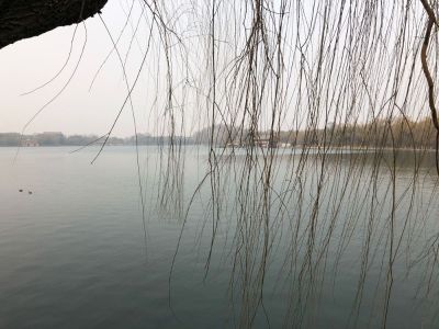 无