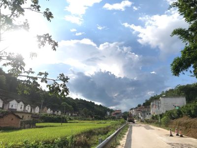 啥活都干
