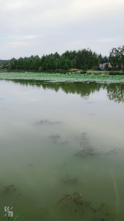 木工