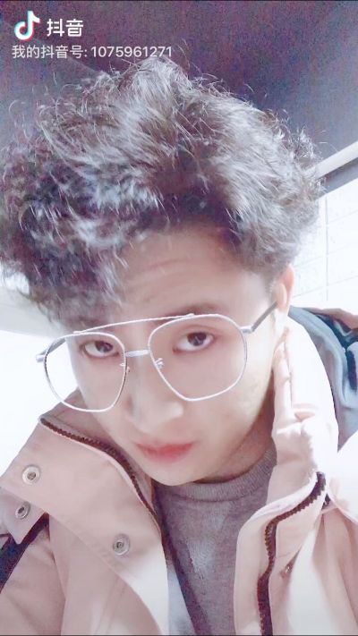 宠物