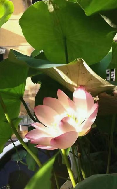 木工水电装修