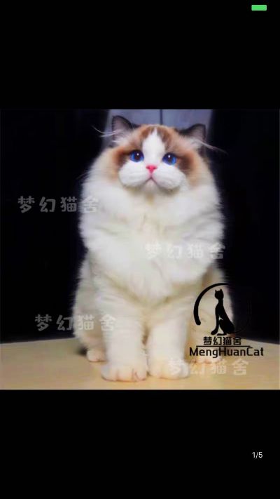 找家政