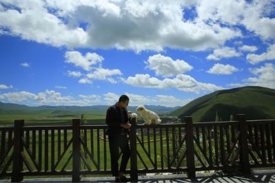 司机摄影旅行