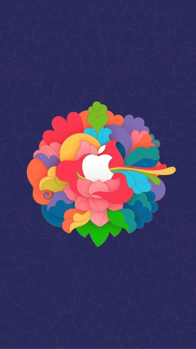 网站邮箱