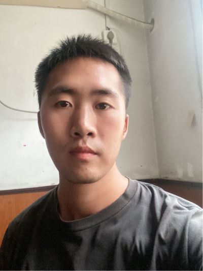 专业除甲醛