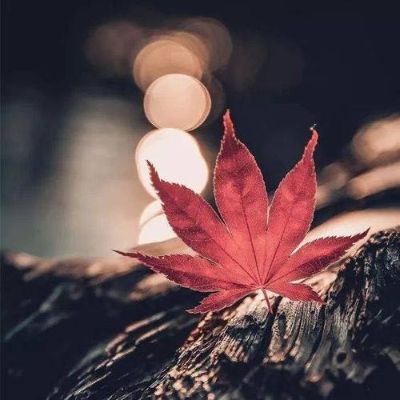 泥水装修
