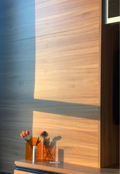 安装灯具复式