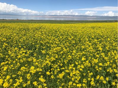 橱柜家具安装衣柜橱柜安装