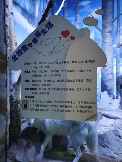 很多