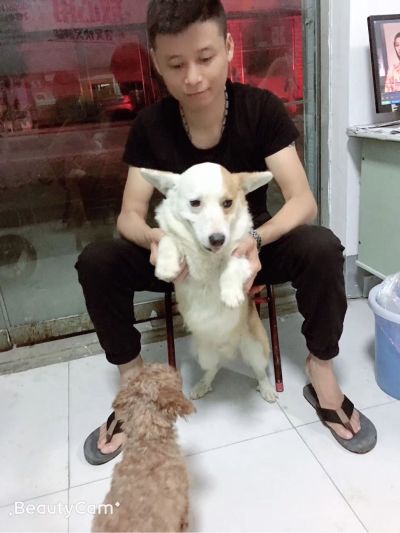 水电装修