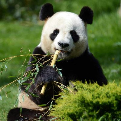 家电维修家电维修