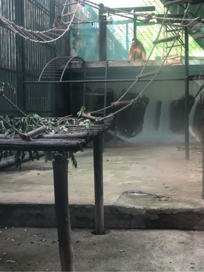 无