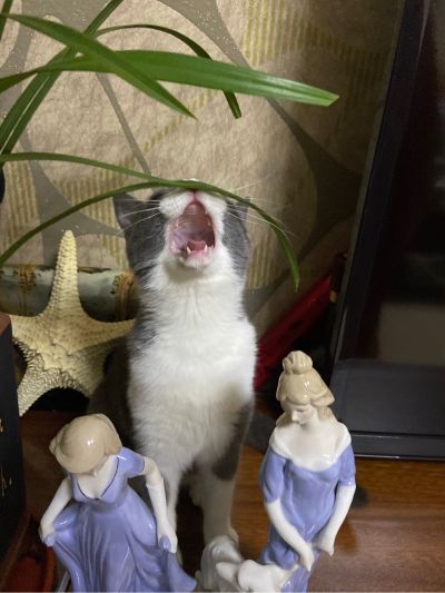 电工司机网购维修安装