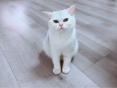 无