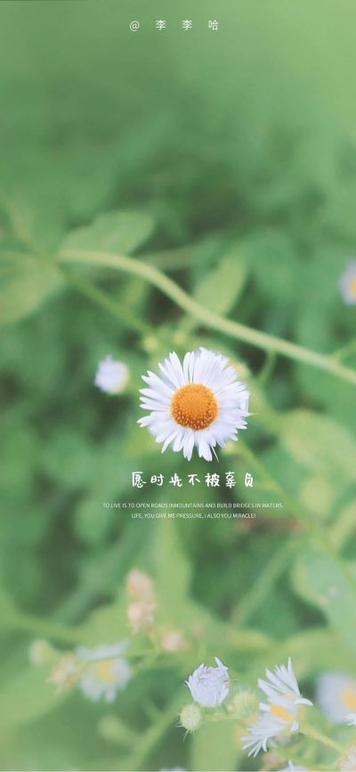 收银