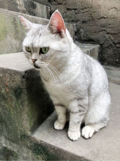 装修