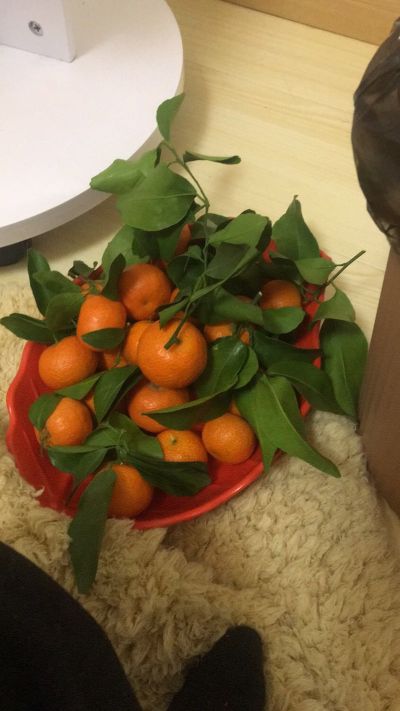 接单