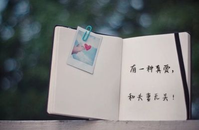 个体