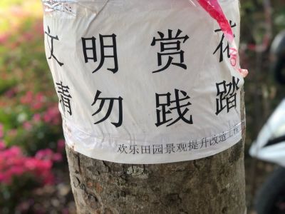 无