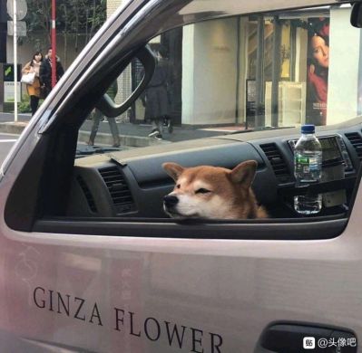 广告木工装修木工商场围挡