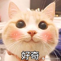 沙子水泥配送