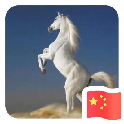全屋定制设计