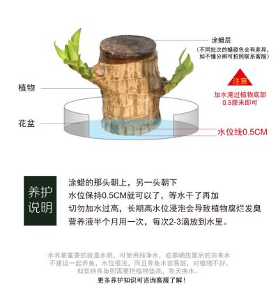 无