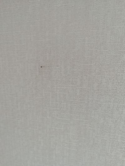 专业粘壁布壁纸刮家乳胶漆