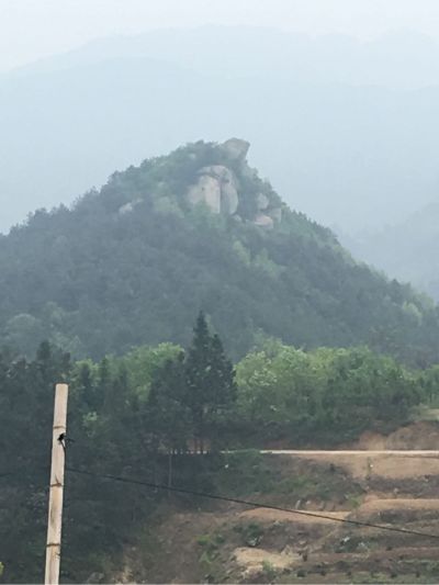 电工金融咨询