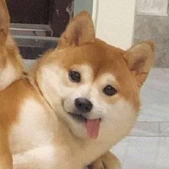 橱柜衣柜安装