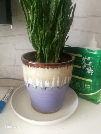 接单