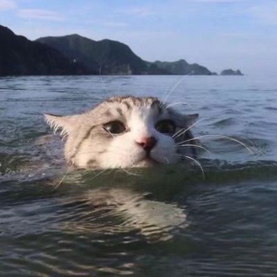 墙纸墙布施工