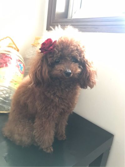 设计